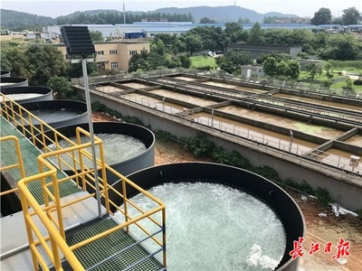 九峰明渠臨時污水處理設施高效運行，顯著削減入東湖污水量